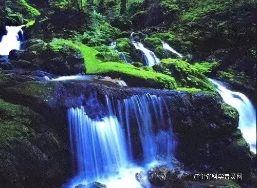 伟大的追求